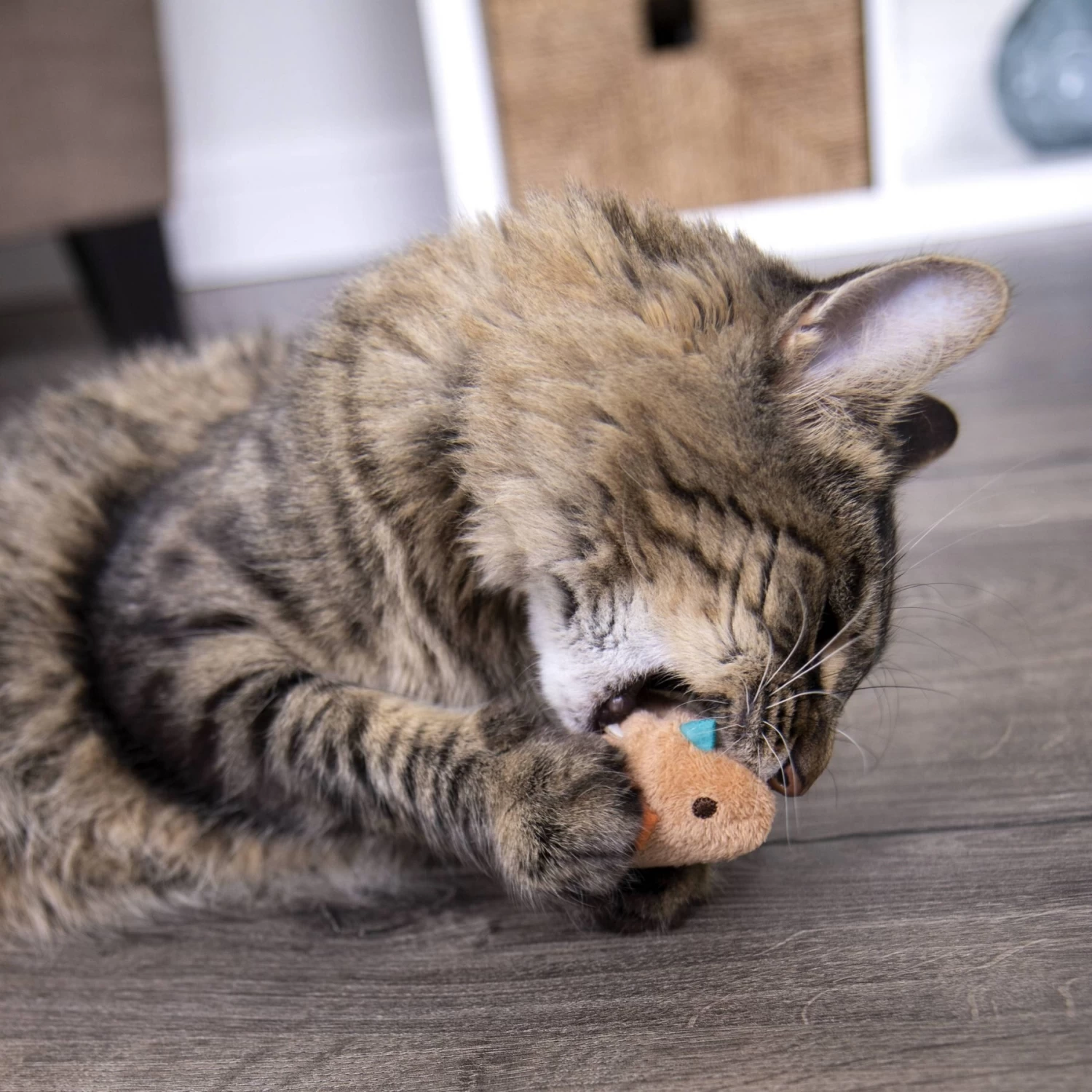 SmartyKat Chickadee Chirp Electronic Bird-Sound Cat Toy 9 SmartyKat Chickadee Chirp Electronic Bird-Sound Cat Toy - Image 7