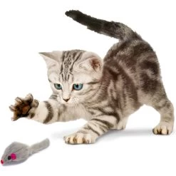 Penn-Plax Purr Pet Bag Of Mice Cat Toy, Color Varies 13 Penn-Plax Purr Pet Bag Of Mice Cat Toy, Color Varies -Pet Cat Supplies Store 103731 PT3. AC SS1800 V1595365257