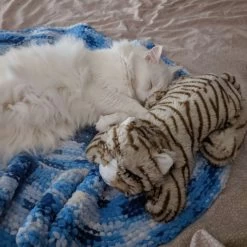 Snuggle Puppy Original Snuggle Kitty Plush Cat Behavioral Aid Anxiety Relief -Pet Cat Supplies Store 108168 PT5. AC SS1800 V1688150025