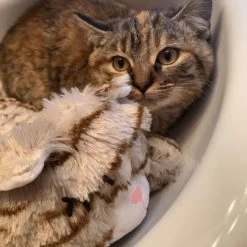 Snuggle Puppy Original Snuggle Kitty Plush Cat Behavioral Aid Anxiety Relief -Pet Cat Supplies Store 108168 PT6. AC SS1800 V1688150248