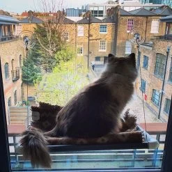 Kitty Cot Original World's Best Cat Perch -Pet Cat Supplies Store 108559 PT1. AC SS1800 V1568668920