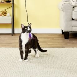 Pet Fit For Life 6 Piece Replacement Feather Pack For Wand Cat Toy -Pet Cat Supplies Store 109318 PT2. AC SS1800 V1589320664