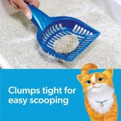 Fresh Step Hawaiian Aloha Scented Clumping Clay Cat Litter -Pet Cat Supplies Store 111378 PT4. AC SS1800 V1694464674