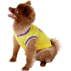 Pets First NBA Dog & Cat Mesh Jersey 13 Pets First NBA Dog & Cat Mesh Jersey -Pet Cat Supplies Store 111989 PT3. AC SS1800 V1539982969