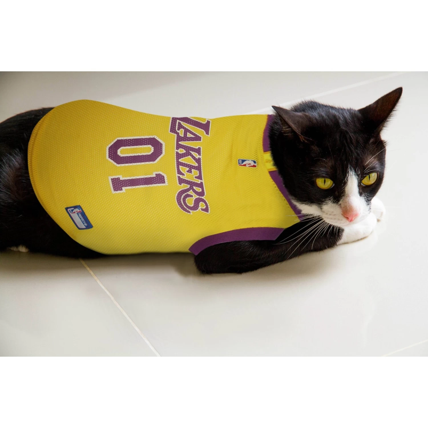 Pets First NBA Dog & Cat Mesh Jersey 8 Pets First NBA Dog & Cat Mesh Jersey - Image 6