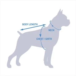 Pets First NBA Dog & Cat Mesh Jersey 17 Pets First NBA Dog & Cat Mesh Jersey -Pet Cat Supplies Store 111989 PT8. AC SS1800 V1541180284