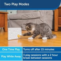 PetSafe Cheese Motion Cat Toy -Pet Cat Supplies Store 114120 PT3. AC SS1800 V1599813056