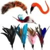Pet Fit For Life 7 Piece Replacement Feather Pack For Wand Cat Toy -Pet Cat Supplies Store 123827 MAIN. AC SS1800 V1589320865