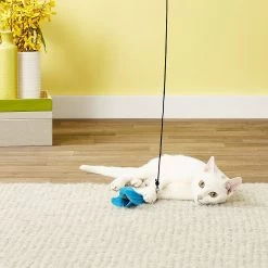 Pet Fit For Life 7 Piece Replacement Feather Pack For Wand Cat Toy -Pet Cat Supplies Store 123827 PT2. AC SS1800 V1589320880