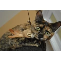 Earthtone Solutions Sisal Wand Mouse Teaser Cat Toy -Pet Cat Supplies Store 138352 PT2. AC SS1800 V1506376025