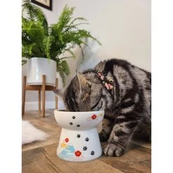Necoichi Raised Cat Food Bowl, Fuji -Pet Cat Supplies Store 138931 PT7. AC SS1800 V1649353161
