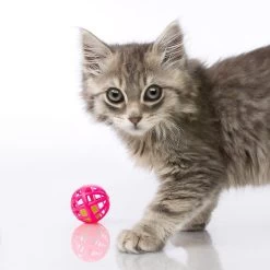 Hartz Just For Cats Toy Variety Pack, 13 Count -Pet Cat Supplies Store 139111 PT3. AC SS1800 V1589230986