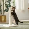 Frisco 21-in Sisal Cat Scratching Post With Toy -Pet Cat Supplies Store 140149 MAIN. AC SS1800 V1665765071