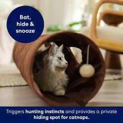 Frisco 47-in Foldable Crinkle Play Tunnel With 2 Windows -Pet Cat Supplies Store 140168 PT3. AC SS1800 V1695241917