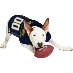 Pets First NCAA Dog & Cat Jersey, Michigan Wolverines 12 Pets First NCAA Dog & Cat Jersey, Michigan Wolverines -Pet Cat Supplies Store 142152 PT3. AC SS1800 V1538433241