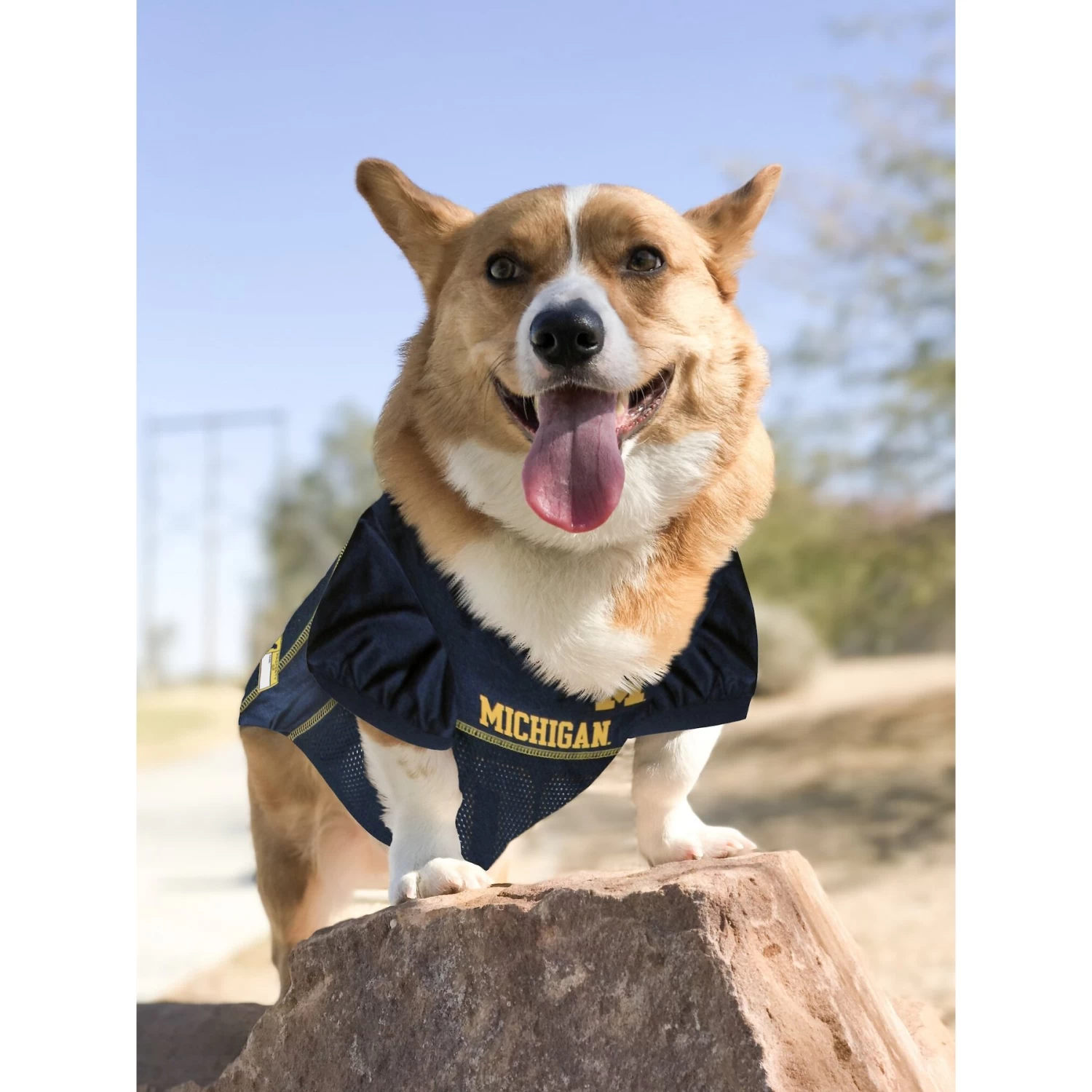 Pets First NCAA Dog & Cat Jersey, Michigan Wolverines 7 Pets First NCAA Dog & Cat Jersey, Michigan Wolverines - Image 5