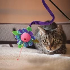 KONG Laser Teaser Cat Toy -Pet Cat Supplies Store 143207 PT2. AC SS1800 V1631762885