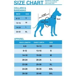 Pet Cat Supplies Store -Pet Cat Supplies Store 153257 PT1. AC SS1800 V1541438574