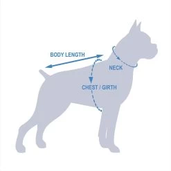 Pets First NCAA Basketball Dog & Cat Mesh Jersey -Pet Cat Supplies Store 153486 PT8. AC SS1800 V1543596136