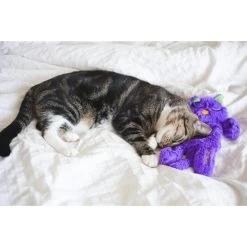 Catstages Purr Pillow Cat Plush Toy -Pet Cat Supplies Store 154645 PT7. AC SS1800 V1631685761