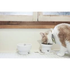 Necoichi Ceramic Elevated Cat Food & Water Bowl Set 10 Necoichi Ceramic Elevated Cat Food & Water Bowl Set -Pet Cat Supplies Store 154902 PT2. AC SS1800 V1542038820