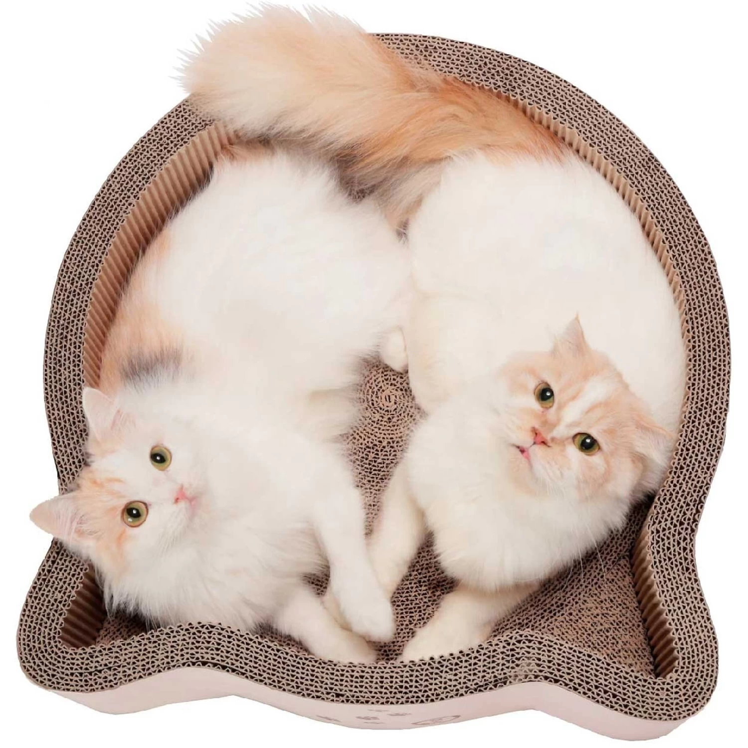 Necoichi Cat Head Scratcher Bed 3 Necoichi Cat Head Scratcher Bed
