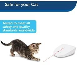 PetSafe Laser Tail Laser Cat Toy -Pet Cat Supplies Store 159065 PT6. AC SS1800 V1599844269