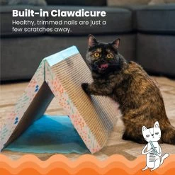 Catstages Fold Away Cat Tunnel Toy -Pet Cat Supplies Store 159439 PT2. AC SS1800 V1636522026