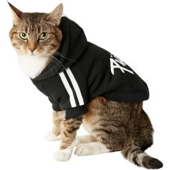 Frisco Püppy Dog Athletic Hoodie -Pet Cat Supplies Store 160342 PT3. AC SS1800 V1637716325