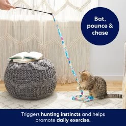 Frisco Fabric Teaser Wand Cat Toy -Pet Cat Supplies Store 161196 PT5. AC SS1800 V1691783969