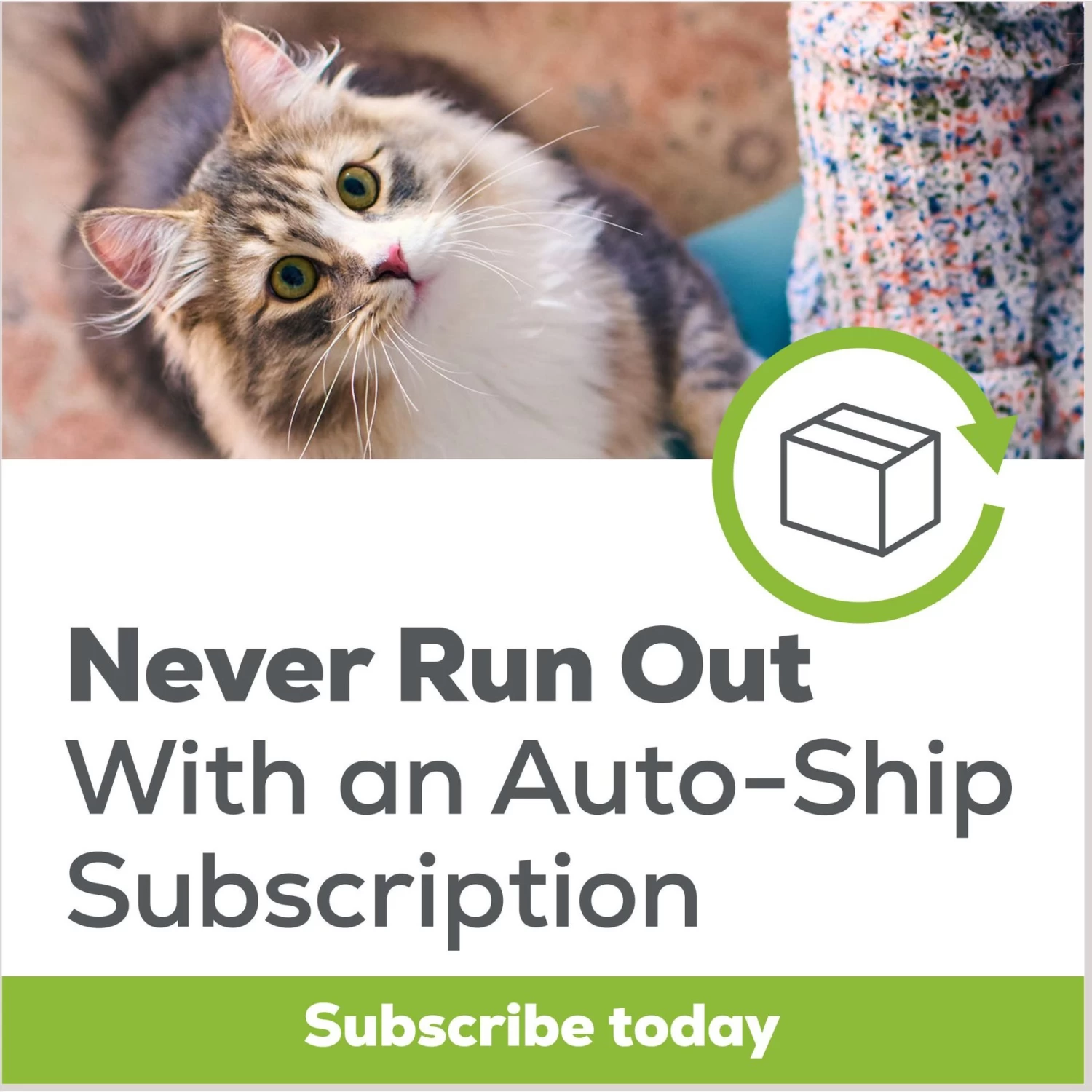 Tidy Max Lightweight Instant Action Scented Clumping Clay Cat Litter 9 Tidy Max Lightweight Instant Action Scented Clumping Clay Cat Litter - Image 7