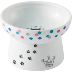 Necoichi Raised Cat Food Bowl, Colorful Dots