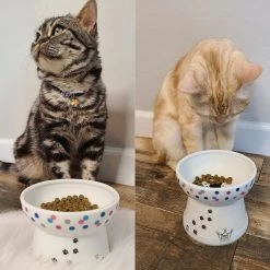Necoichi Raised Cat Food Bowl, Colorful Dots -Pet Cat Supplies Store 169388 PT4. AC SS1800 V1649354641