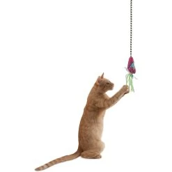 Fat Cat Catfisher Teasers Crawdaddy Wand Cat Toy -Pet Cat Supplies Store 174923 PT2. AC SS1800 V1602297688