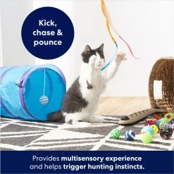 Frisco Plush, Teaser, Ball & Tri-Tunnel Variety Pack Cat Toy With Catnip, 20 Count 10 Frisco Plush, Teaser, Ball & Tri-Tunnel Variety Pack Cat Toy With Catnip, 20 Count -Pet Cat Supplies Store 178161 PT3. AC SS1800 V1678723898