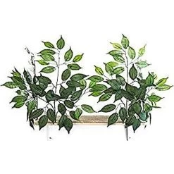 On2Pets Cat Canopy Wall Shelves -Pet Cat Supplies Store 179084 PT8. AC SS1800 V1584730264