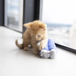 JW Pet Kitty Kickz Cat Toy -Pet Cat Supplies Store 182743 PT2. AC SS1800 V1602336971