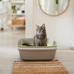 NEON Litter Unscented Clumping Crystal Cat Litter -Pet Cat Supplies Store 186612 PT3. AC SS1800 V1680789621