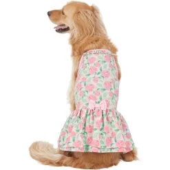 Frisco Pink Floral Dog & Cat Dress -Pet Cat Supplies Store 191295 PT2. AC SS1800 V1637653354