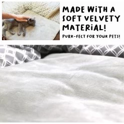 Petique Hide & Seek Cat Mat & Tunnel Toy -Pet Cat Supplies Store 194002 PT4. AC SS1800 V1673561548