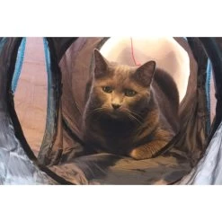 Feline Ruff 12" Premium 4-Way Collapsible Tunnel Cat Toy, Black & Blue 8 Feline Ruff 12" Premium 4-Way Collapsible Tunnel Cat Toy, Black & Blue -Pet Cat Supplies Store 203968 PT2. AC SS1800 V1594670775