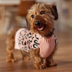Frisco Leopard Print Dog & Cat Sweater -Pet Cat Supplies Store 223755 PT7. AC SS1800 V1599564999