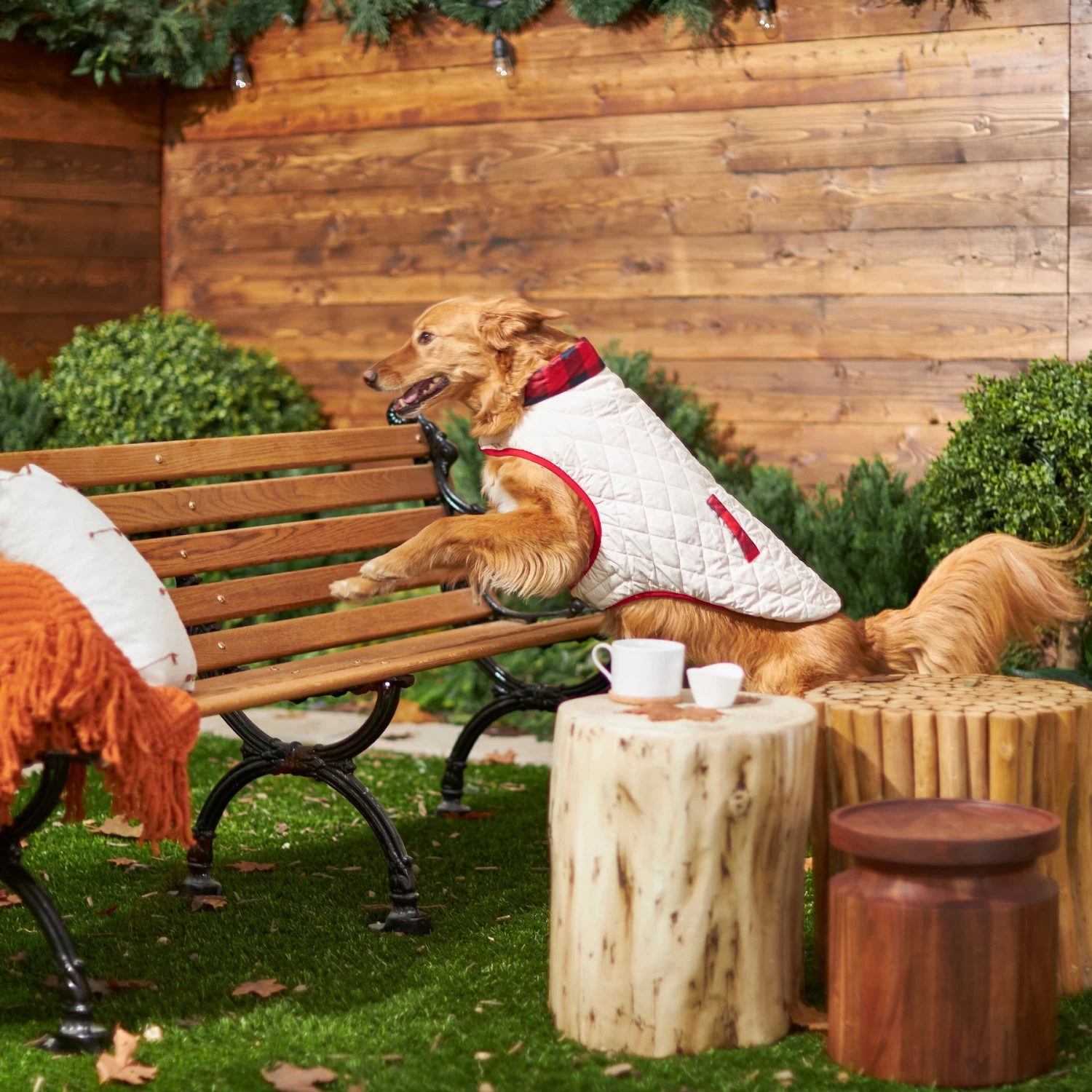 Frisco Quilted Water-Resistant Reversible Insulated Dog & Cat Jacket 9 Frisco Quilted Water-Resistant Reversible Insulated Dog & Cat Jacket - Image 7