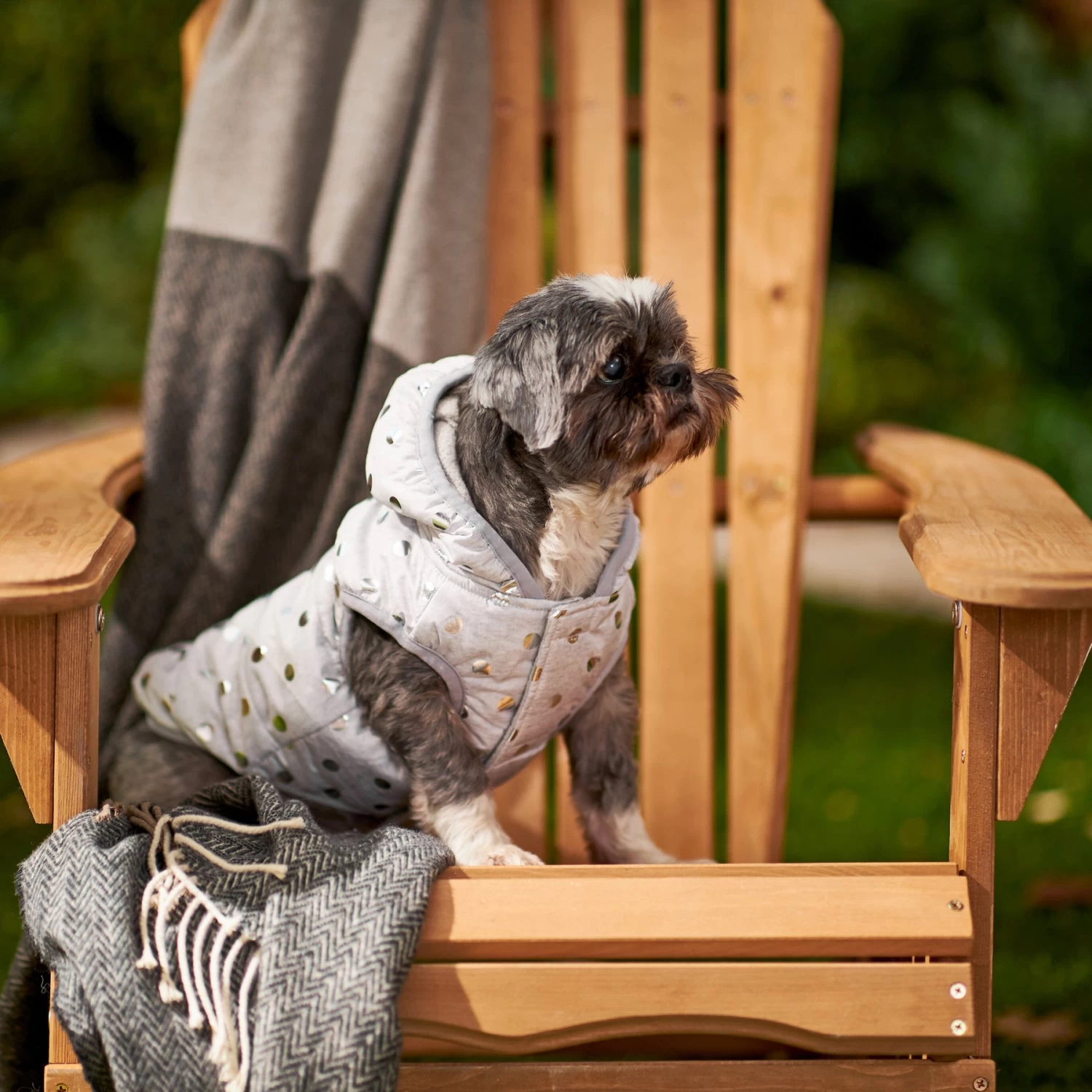 Frisco Mediumweight Silver Polka Dotted Insulated Dog & Cat Coat 9 Frisco Mediumweight Silver Polka Dotted Insulated Dog & Cat Coat - Image 7