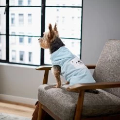 Frisco Mommy's Little Bear Dog & Cat Hoodie -Pet Cat Supplies Store 224272 PT7. AC SS1800 V1599924073