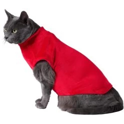 Frisco Lightweight Stretchy Dog & Cat Fleece Vest 11 Frisco Lightweight Stretchy Dog & Cat Fleece Vest -Pet Cat Supplies Store 224323 PT2. AC SS1800 V1599829274