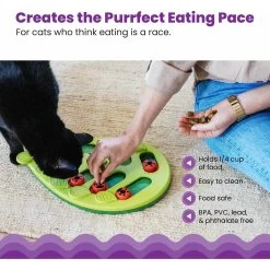 Nina Ottosson By Outward Hound Buggin' Out Puzzle & Play Cat Toy -Pet Cat Supplies Store 227098 PT3. AC SS1800 V1636511821