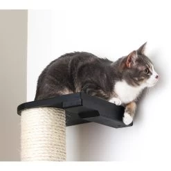 CatastrophiCreations Sisal Cat Climbing Pole -Pet Cat Supplies Store 229621 PT2. AC SS1800 V1645488542