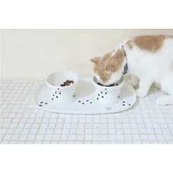 Necoichi Double Dining Tray Set & Elevated Cat Bowls -Pet Cat Supplies Store 230660 PT5. AC SS1800 V1631312470
