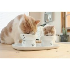 Necoichi Double Dining Tray Set & Elevated Cat Bowls -Pet Cat Supplies Store 230660 PT7. AC SS1800 V1631308915